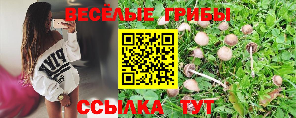 Псилоцибиновые грибы мицелий Улан-Удэ