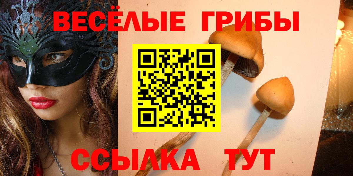 Псилоцибиновые грибы Magic Shrooms  Псилоцибиновые грибы мухоморы  Вход с VPN  Улан-Удэ 